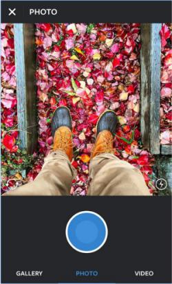 Official Download Mirror for Instagram for Windows and Android