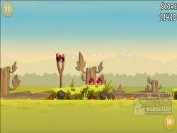 Official Download Mirror for Angry Birds for PC