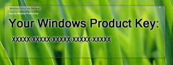 Official Download Mirror for Windows Product Key Retriever