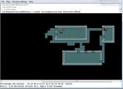 Official Download Mirror for NetHack Portable
