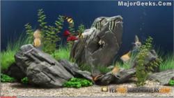 Official Download Mirror for 3D Aquarium Screensaver