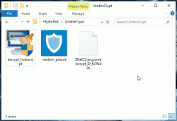Official Download Mirror for Emsisoft Decrypter for HydraCrypt and UmbreCrypt