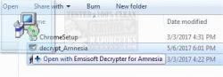 Official Download Mirror for Emsisoft Decrypter for Amnesia 1 and 2