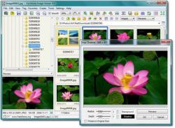 Official Download Mirror for FastStone Image Viewer
