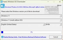 Official Download Mirror for Hasleo Windows ISO Downloader