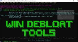 Official Download Mirror for Win Debloat Tools