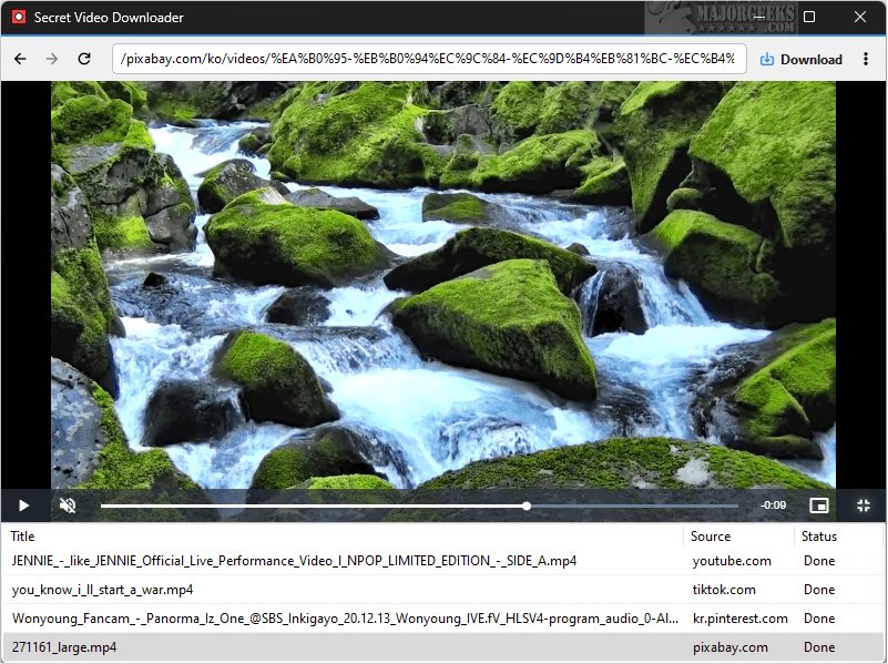 Secret Video Downloader Interface
