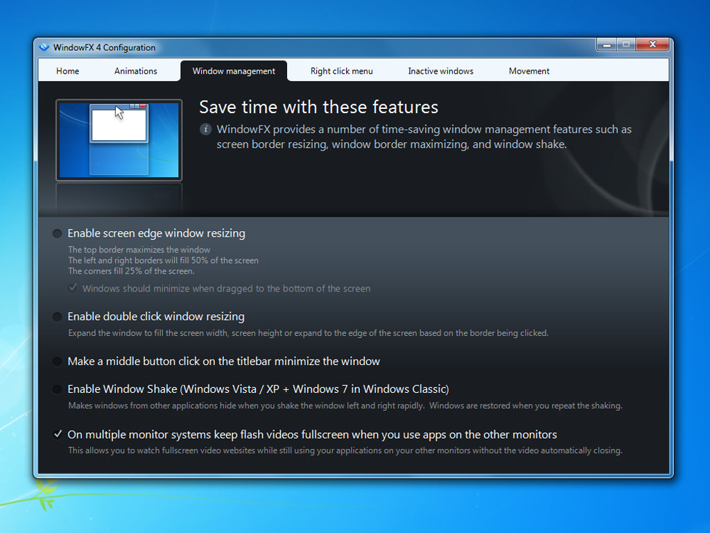 823_windowfx4.jpg