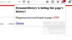 Official Download Mirror for DynamicHistory for Chrome and Firefox