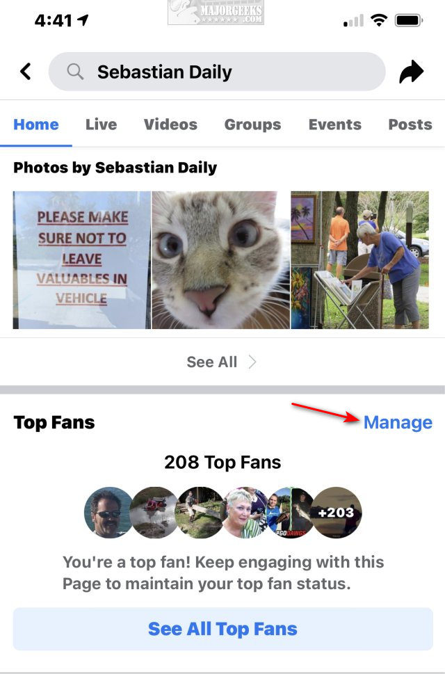 Display top fan badge