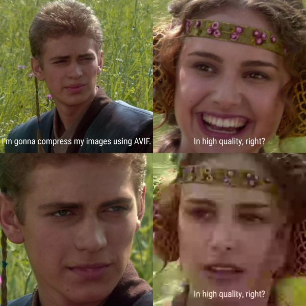avif-meme.jpg