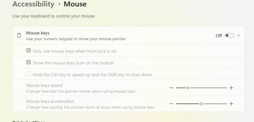 mouse win 11.jpg