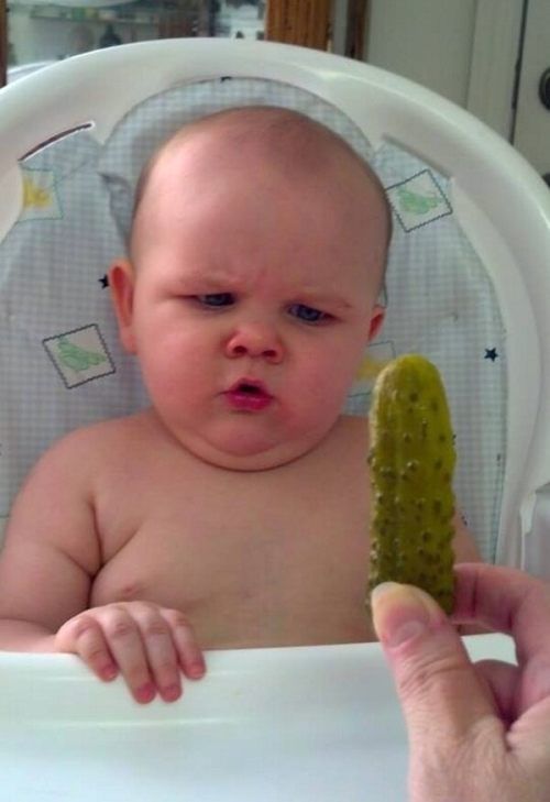 pickle.jpg