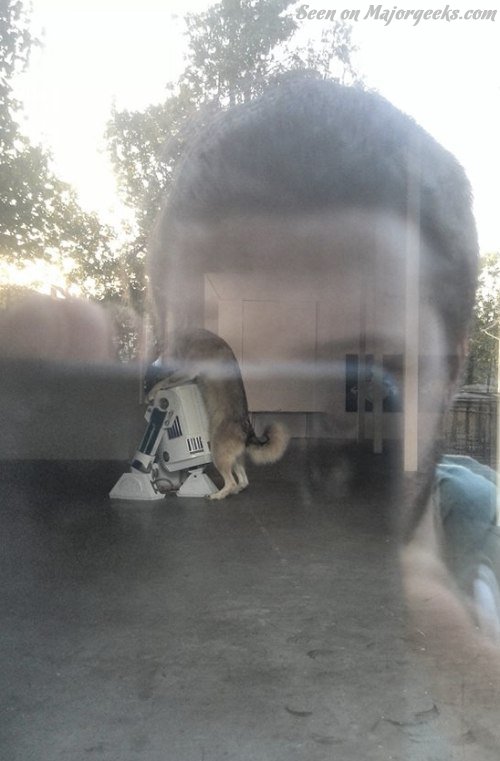 rd-dog-do.jpg