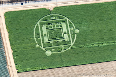 nvidia_crop_circle.jpg