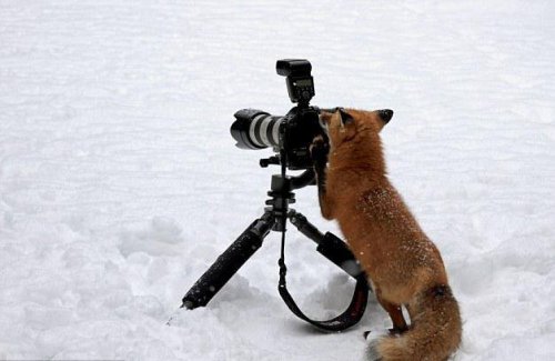 firefoxsurveillance.jpg