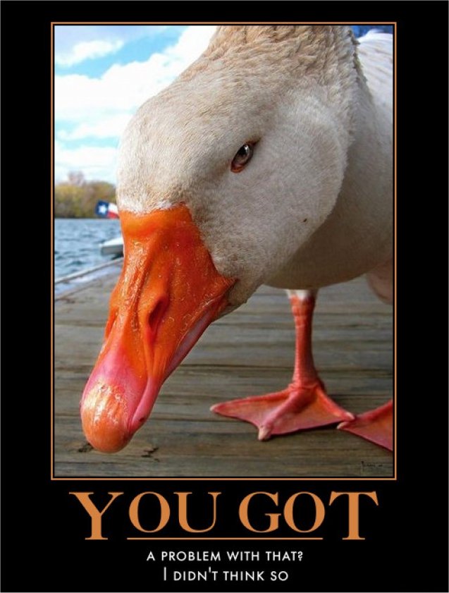 evil-duck.jpg