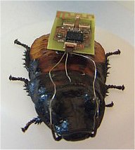 image1.jpg