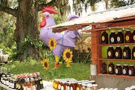 purplechicken.jpg
