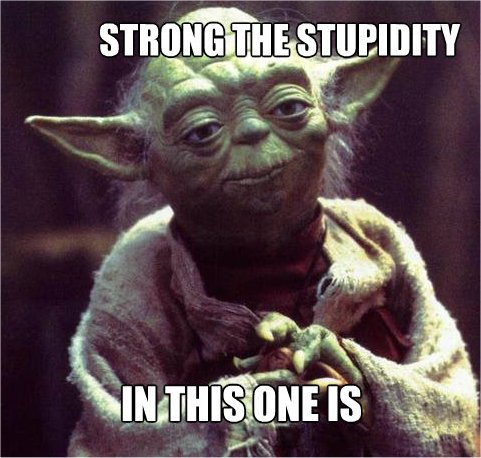 stupidyoda.jpg
