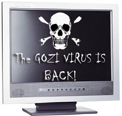 gozi.jpg