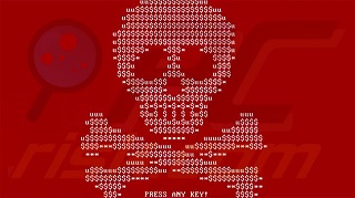 petya.jpg