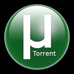 torrent.jpg