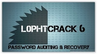 lophatcrack.jpg