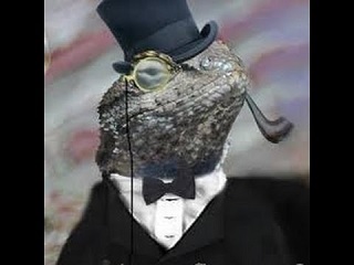 lizard.jpg