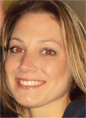 carley_williams_lied_to_trooper_newhampshire.jpg