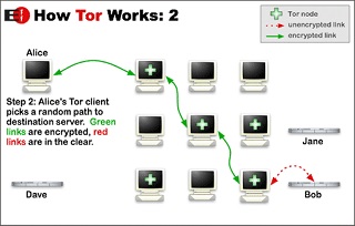 tor.jpg