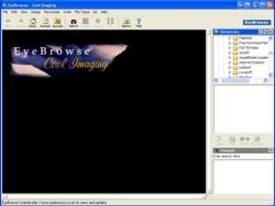 Official Download Mirror for EyeBrowse