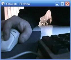 Official Download Mirror for Yawcam