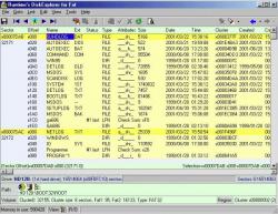 Official Download Mirror for Runtime's DiskExplorer for FAT