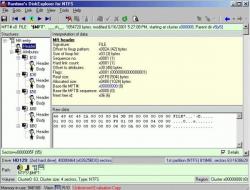 Official Download Mirror for Runtime's DiskExplorer for NTFS