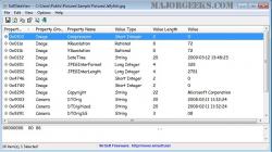 Official Download Mirror for ExifDataView