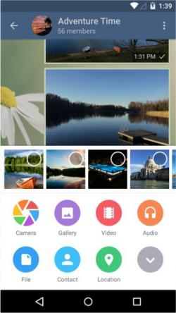 Official Download Mirror for Telegram
