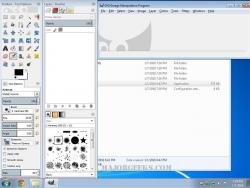 Official Download Mirror for X-Gimp