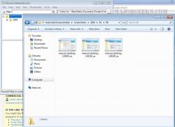 Official Download Mirror for Automatic Screenshotter