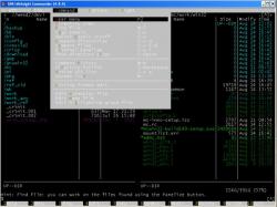 Official Download Mirror for Midnight Commander for Windows