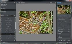 Official Download Mirror for Topaz Adjust