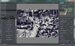 Official Download Mirror for Topaz Adjust