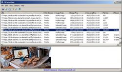 Official Download Mirror for FBCacheView
