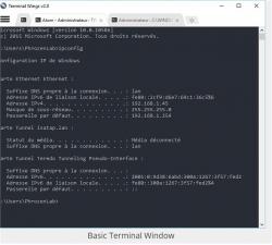 Official Download Mirror for Terminal Wings