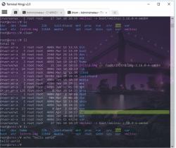 Official Download Mirror for Terminal Wings