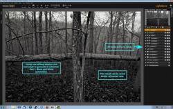 Official Download Mirror for LightZone