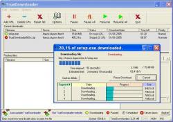 Official Download Mirror for TrueDownloader