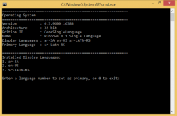 Official Download Mirror for Display Language Switcher