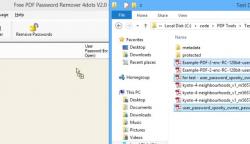 Official Download Mirror for Free PDF Password Remover
