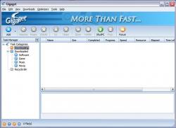 Official Download Mirror for Gigaget Download Manager